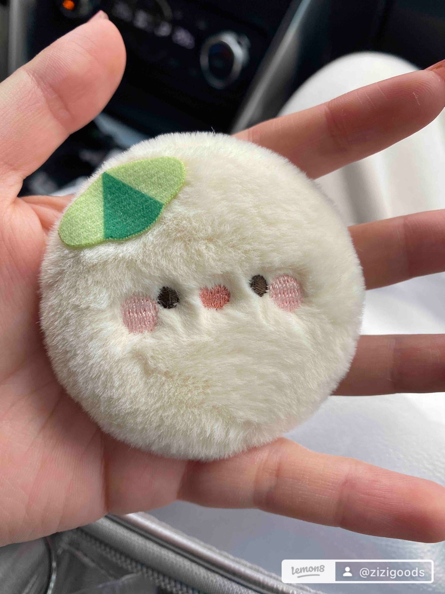 【Official Pre-sale】Twinkle Fair x MINISO Plush Badge